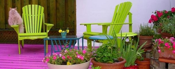 Как посадить растения на балконе? Узнайте, как заботиться о балконе весной