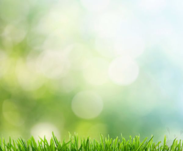 Где можно прибыльно продать фотографии? Как выбрать хороший зарубежный фотобанк gde-mozhno-pribylno-prodat-fotografii-banki-vybirayut-xoroshie-fotografii-qwesa.ru-03