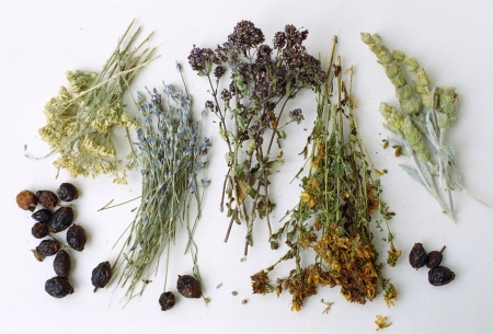 kak-ispolzovat-lekarstvennye-travy-qwesa.ru-02