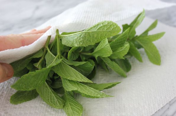 kak-zamorozit-myatu-qwesa.ru-01